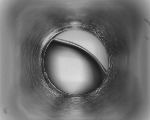 X0000102850150200808181054