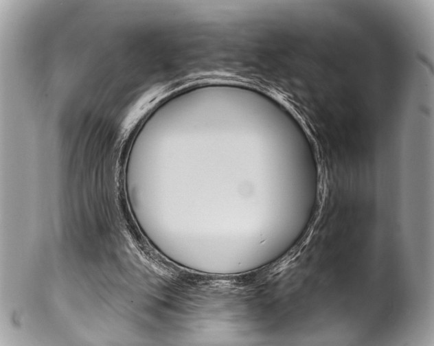 X0000102850151200808181054