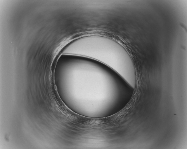 X0000102850152200808181054