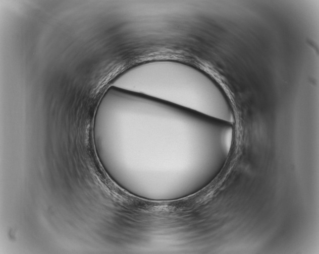 X0000102850153200808181054
