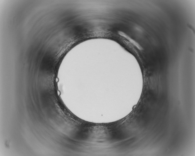 X0000102850154200808181054
