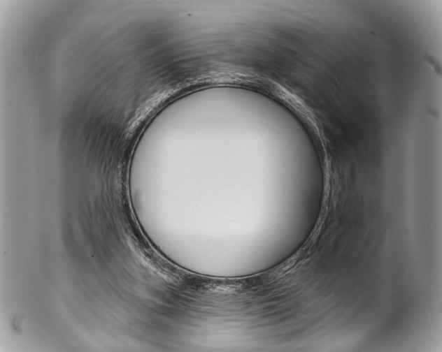 X0000102850155200808181054