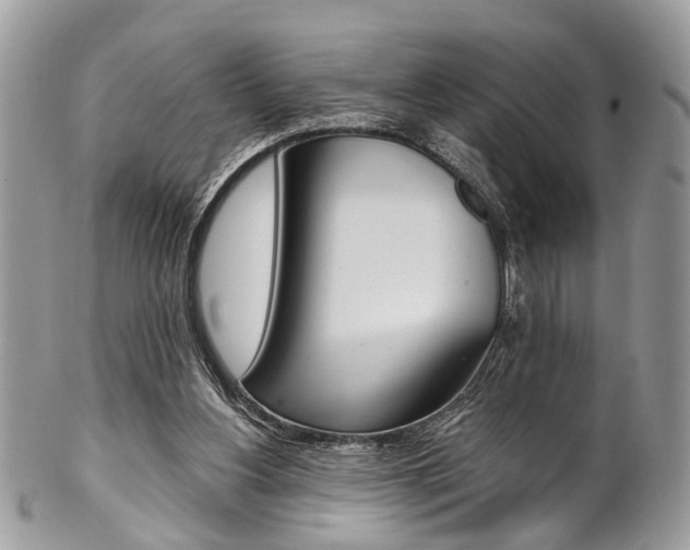 X0000102850156200808181054