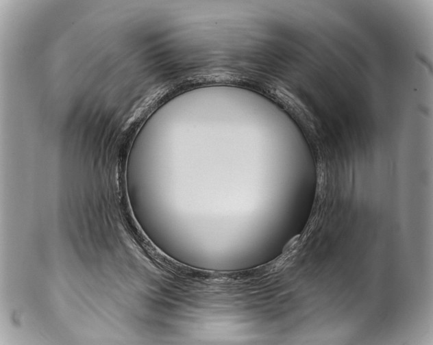 X0000102850158200808181054