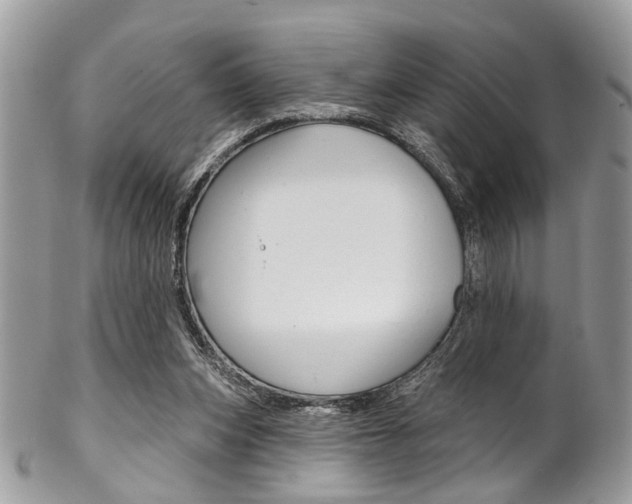 X0000102850159200808181054
