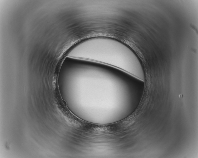 X0000102850160200808181054