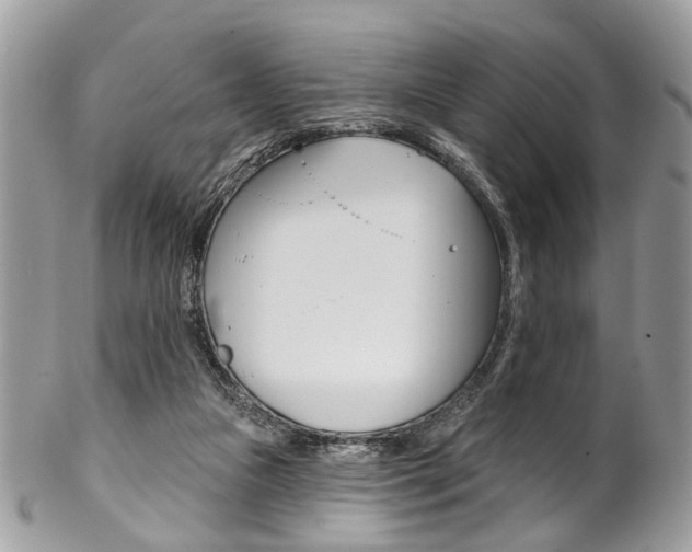 X0000102850161200808181054