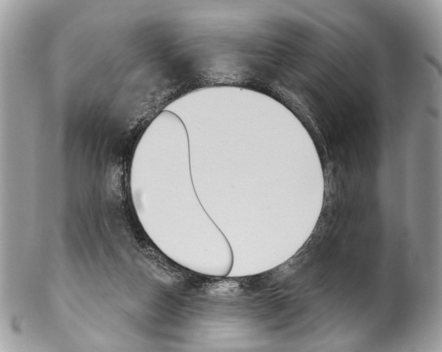 X0000102850162200808181054