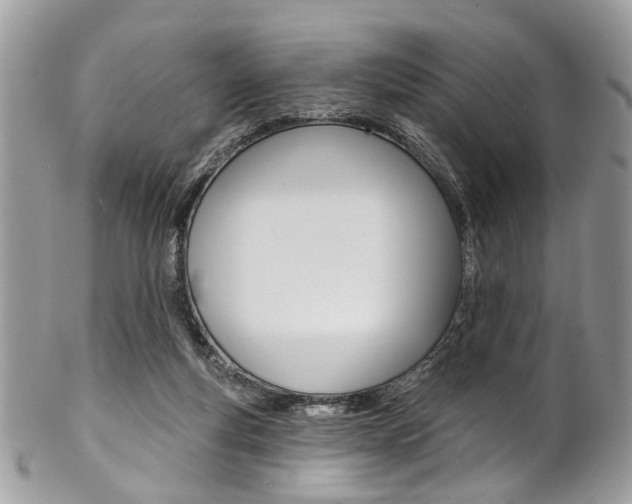 X0000102850163200808181055