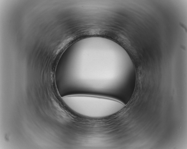 X0000102850164200808181055
