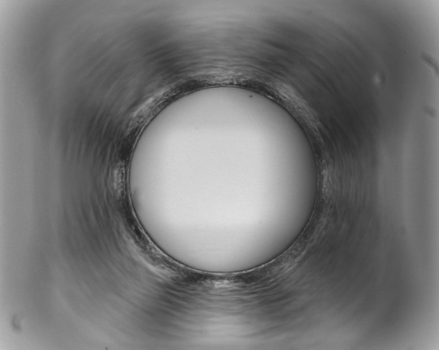 X0000102850165200808181055