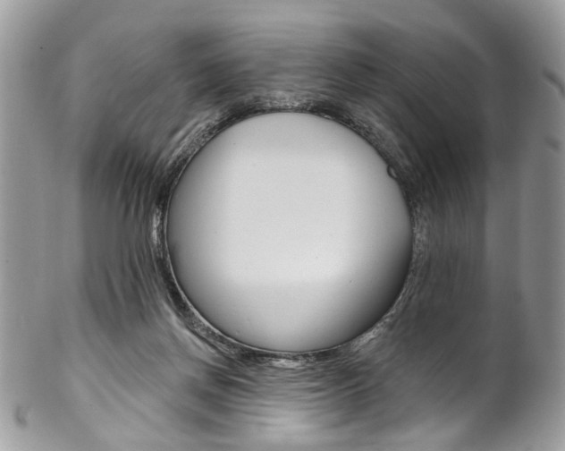 X0000102850166200808181055