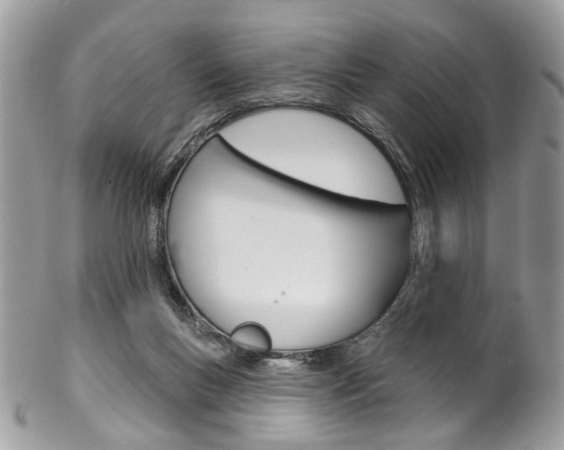 X0000102850167200808181055