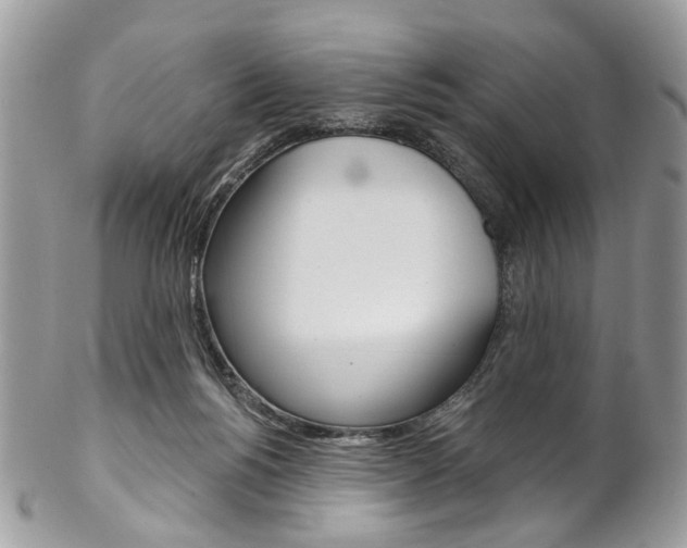 X0000102850168200808181055