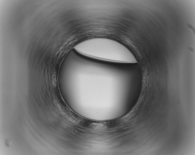 X0000102850170200808181055