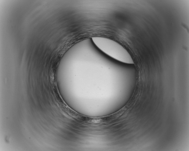 X0000102850173200808181055