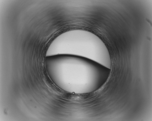 X0000102850174200808181055