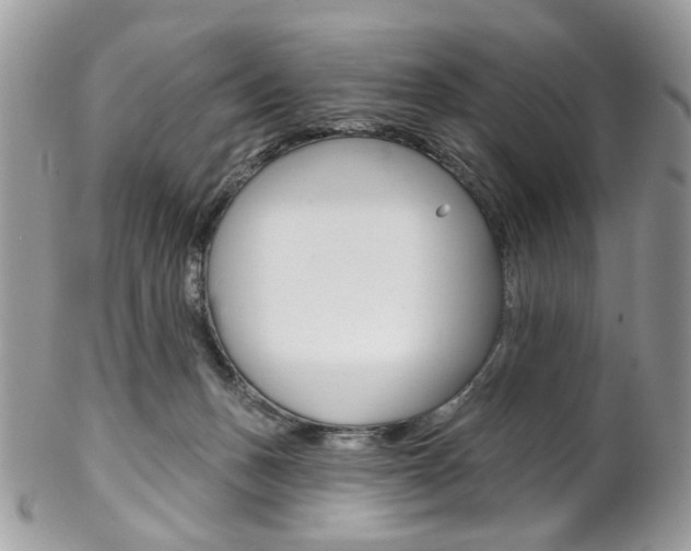 X0000102850175200808181055