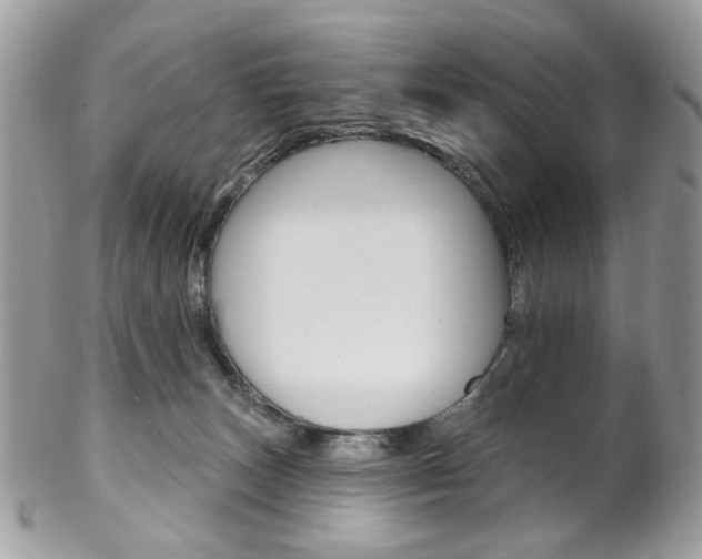 X0000102850179200808181055