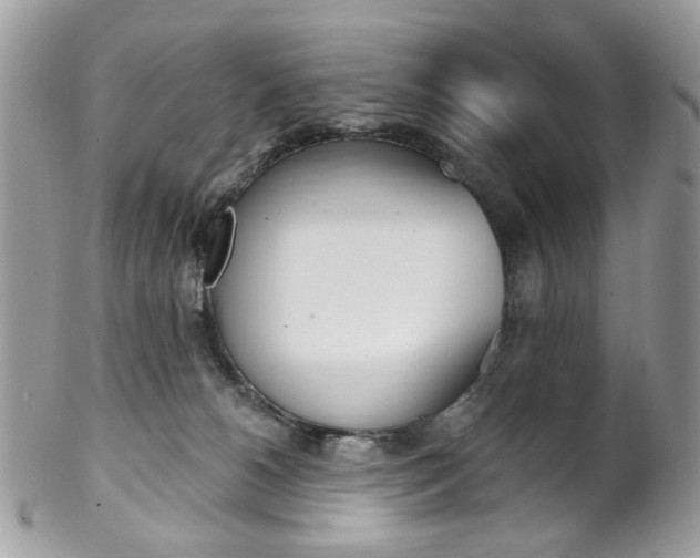 X0000102850180200808181055