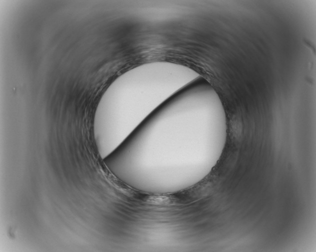 X0000102850181200808181055