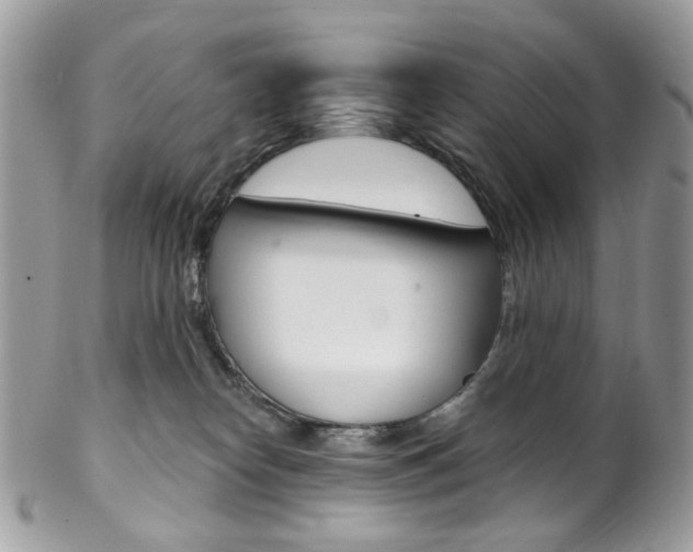 X0000102850182200808181055