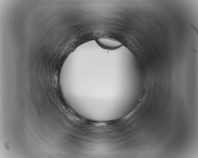 X0000102850183200808181055