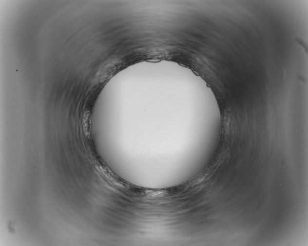 X0000102850185200808181055