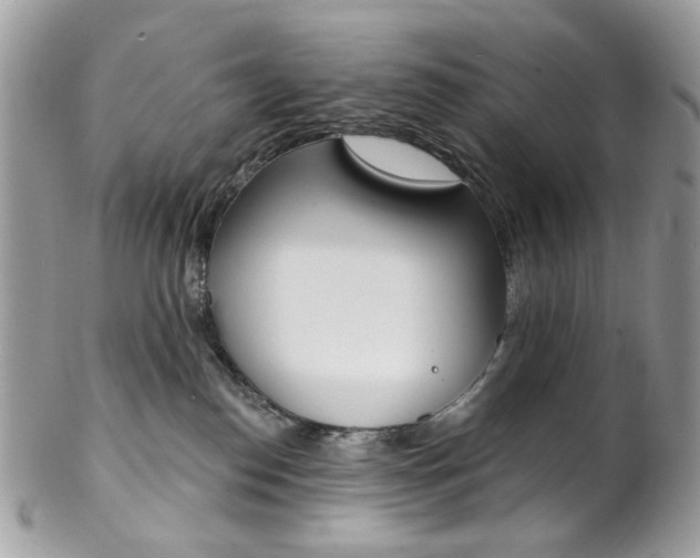 X0000102850186200808181055