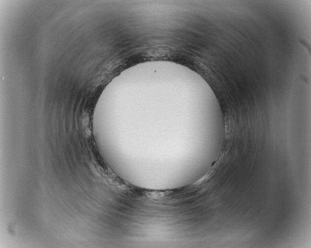 X0000102850187200808181055