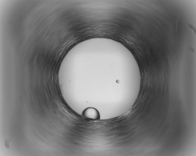 X0000102850188200808181055