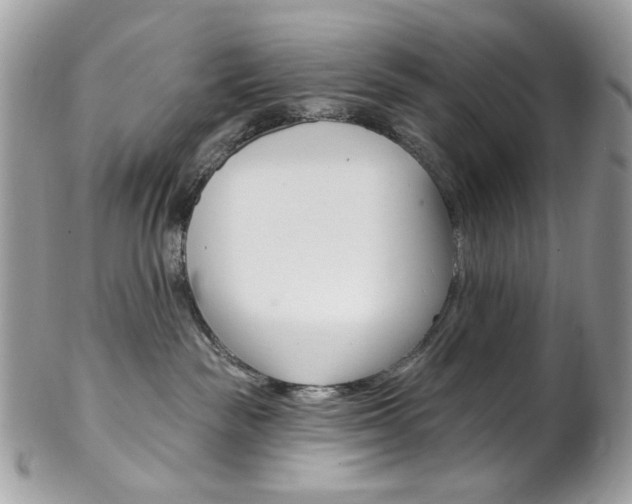 X0000102850189200808181055