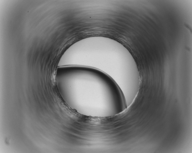 X0000102850190200808181055