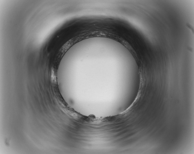 X0000102850191200808181055