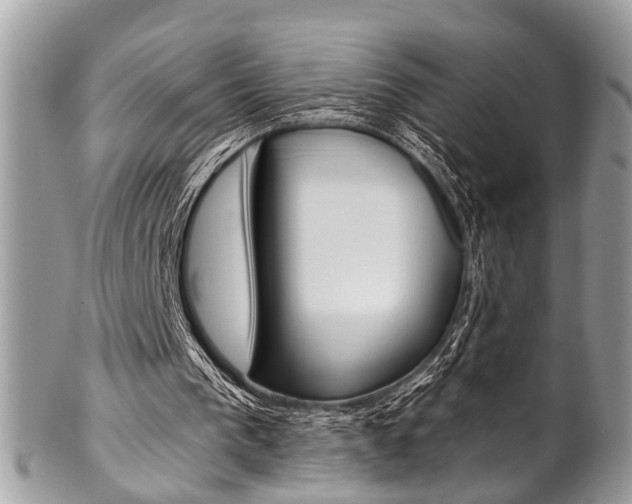 X0000102850193200808181054