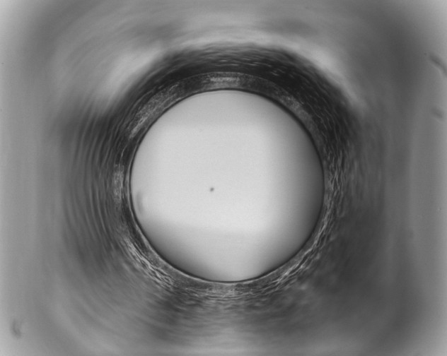 X0000102850194200808181054