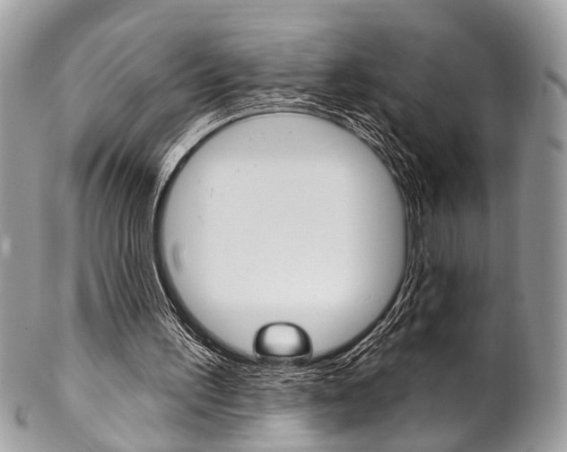 X0000102850195200808181054