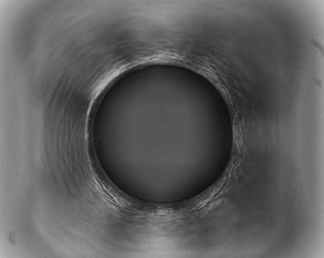 X0000102850196200808181054