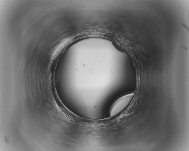 X0000102850197200808181054