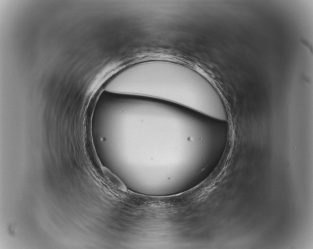 X0000102850199200808181054