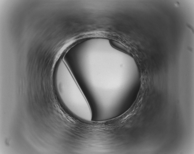 X0000102850200200808181054