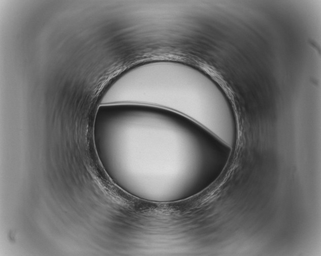 X0000102850201200808181054
