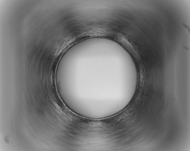 X0000102850202200808181054