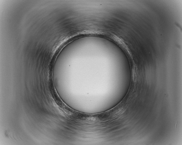X0000102850204200808181054