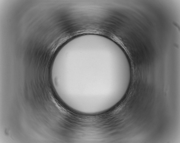 X0000102850205200808181054