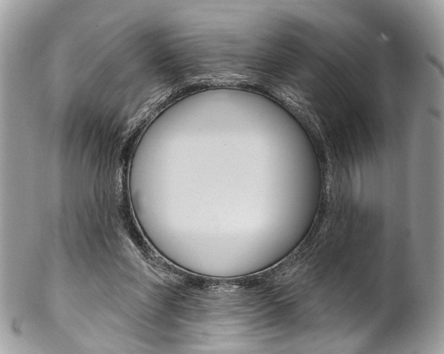 X0000102850206200808181054