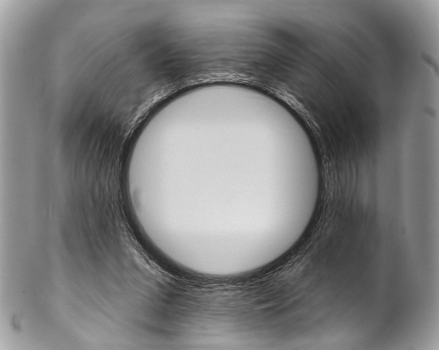 X0000102850207200808181054