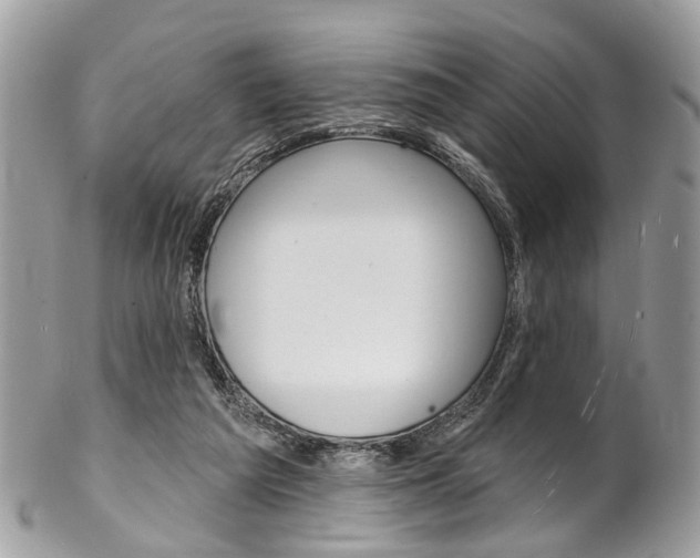 X0000102850209200808181054