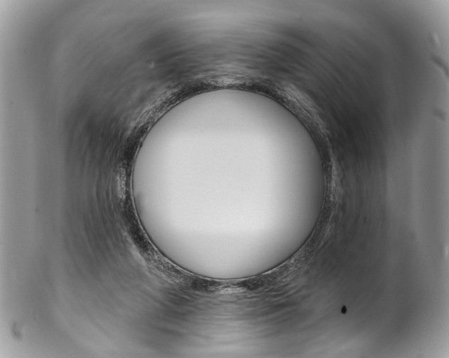 X0000102850210200808181054