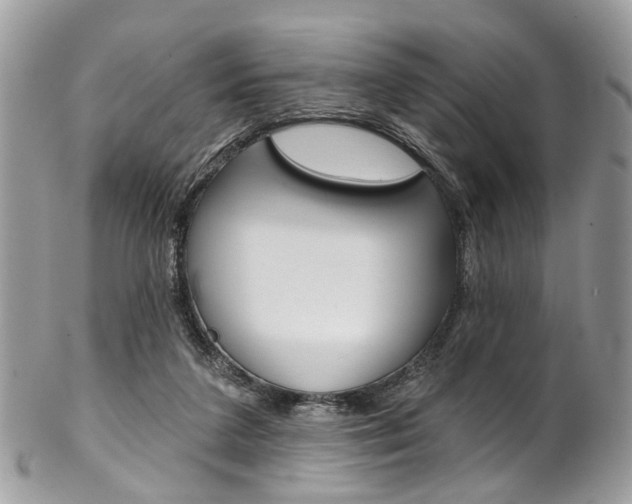 X0000102850211200808181054